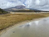 IMG_7347