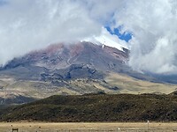 IMG_7348