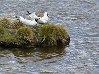 IMG_7354