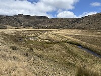 IMG_7367