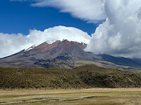 IMG_7372