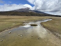 IMG_7375