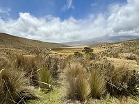 IMG_7363