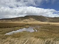 IMG_7359