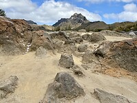 IMG_7434