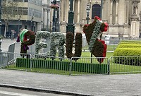 IMG_7732