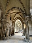 IMG_8482