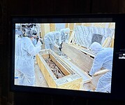 IMG_8476