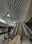 IMG_8727