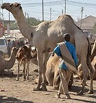 IMG_8914
