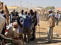 IMG_8927