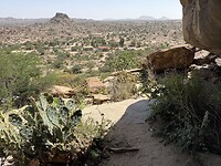 IMG_8947