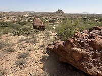 IMG_8966