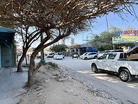IMG_8884
