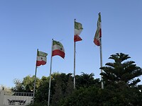 IMG_8890