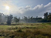 IMG_9280