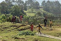 IMG_9238