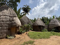 IMG_9229
