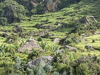 IMG_9173