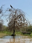 IMG_9316