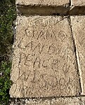 IMG_9345