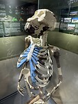 IMG_9384