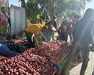 IMG_9397