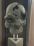 IMG_9391