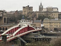 IMG_9917