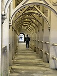 IMG_9914