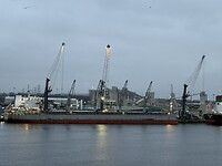 IMG_9960