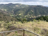 IMG_2049