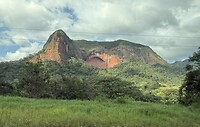 IMG_2045