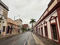 IMG_2350