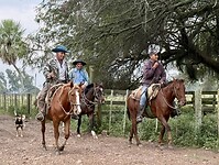 IMG_2403