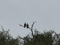 IMG_2402