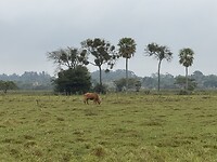 IMG_2399