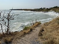 IMG_2966