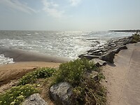 IMG_2970