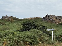 IMG_3052