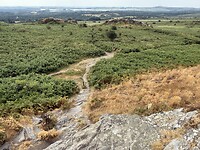 IMG_3041