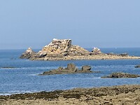 IMG_3101