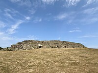 IMG_3100