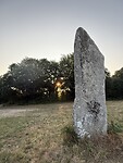 IMG_3155