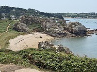 IMG_3175