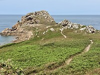 IMG_3171