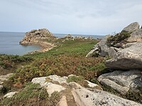 IMG_3162