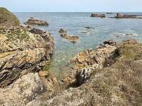 IMG_3167
