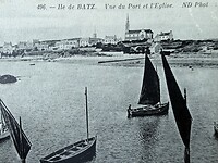 IMG_3262
