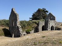 IMG_3250